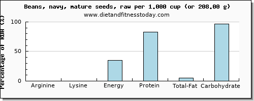 arginine and nutritional content in navy beans